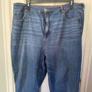 Women’s Plus Size American Eagle Mom Jeans